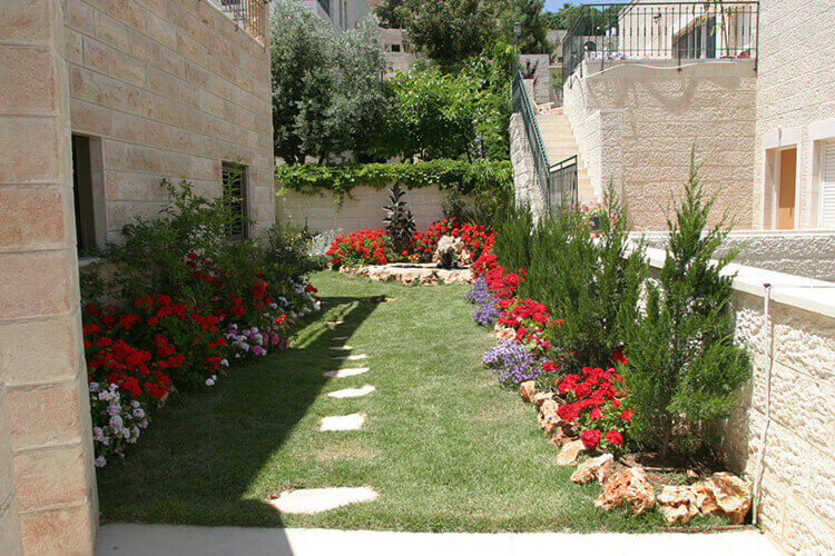 גינה מרשימה